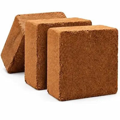 Export-ready blocks