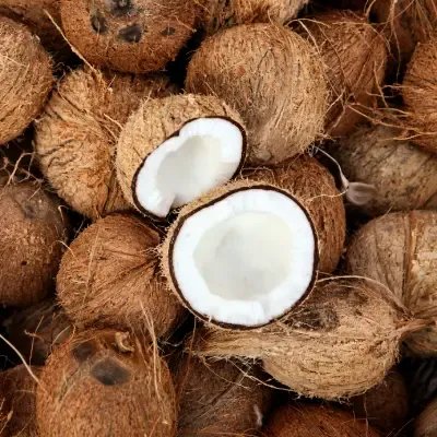 Fresh coconuts