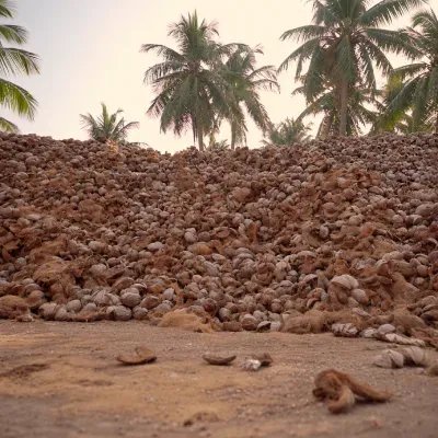 Husk sourcing