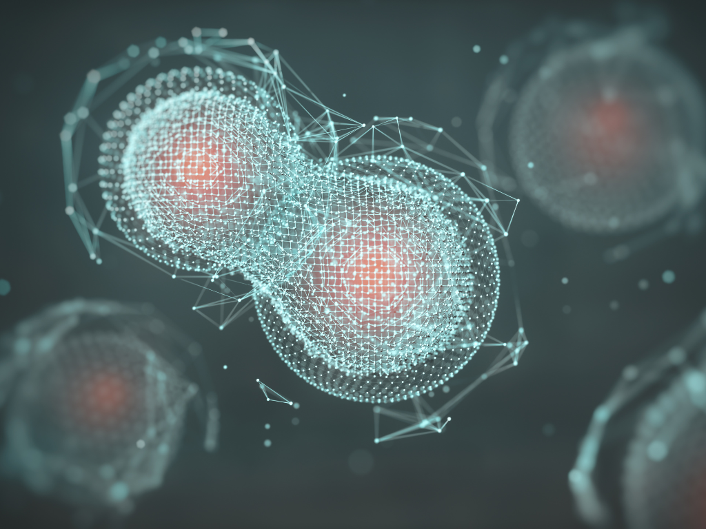 Stem Cell Culture