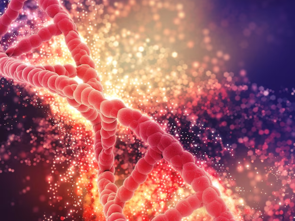 Isolation of primary cells