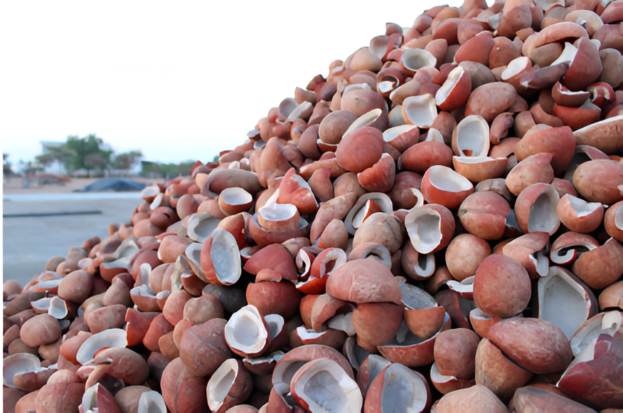 Sun Dried Coconut