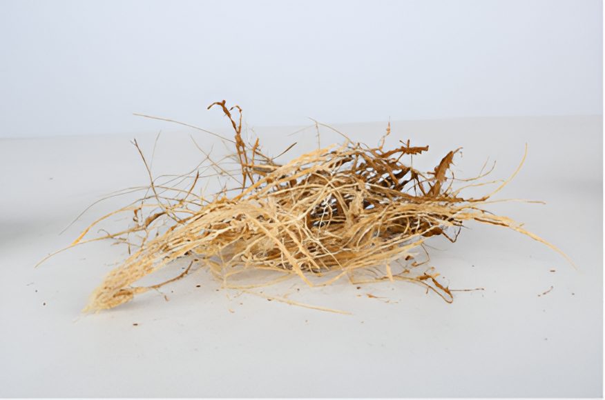 Coir