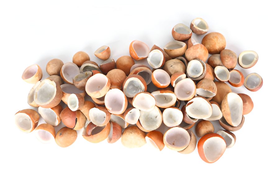 Copra Products