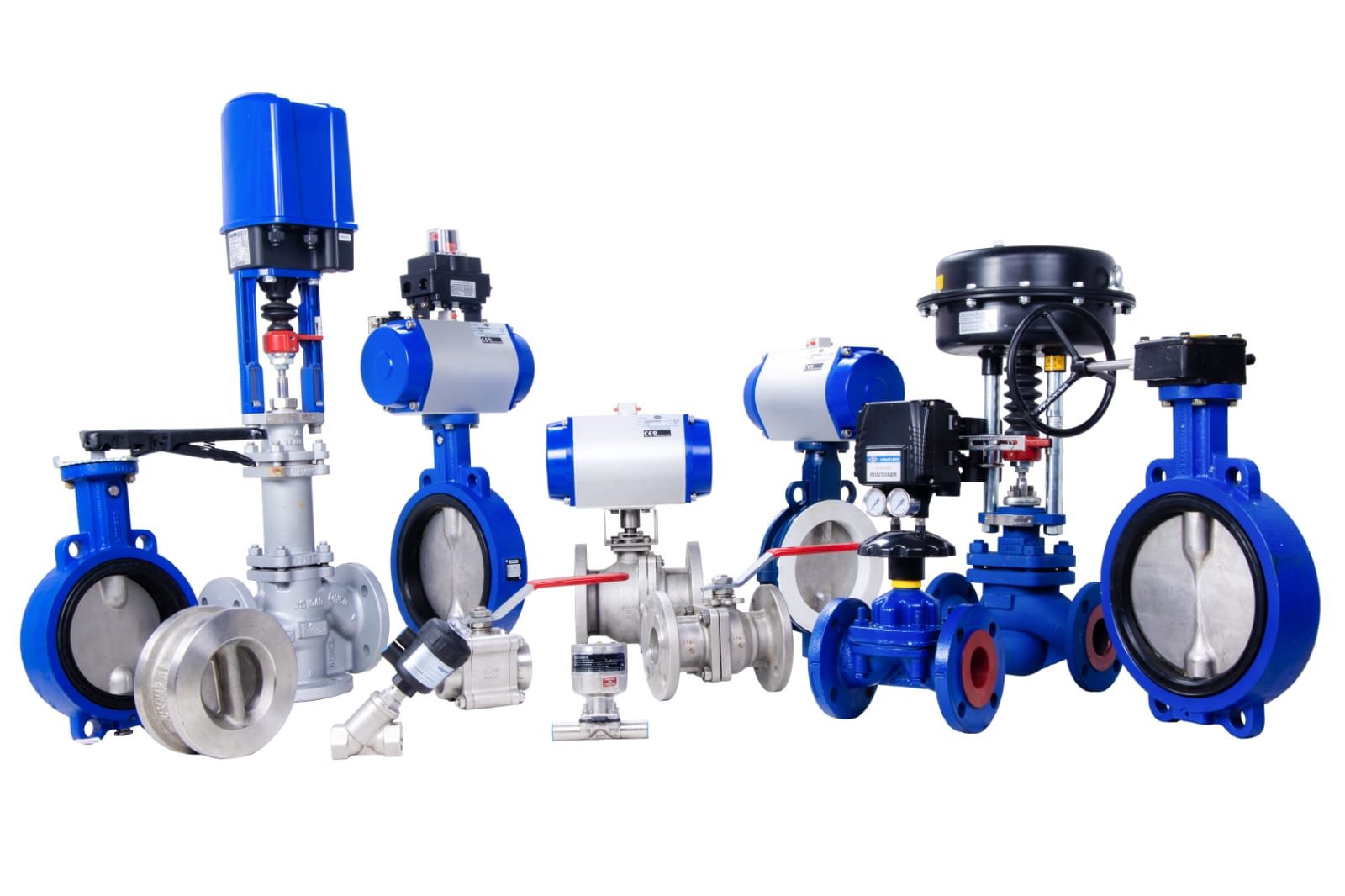 Bellow Seal Globe Valves