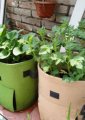 garden product img - 3