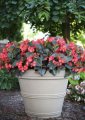 garden product img - 2