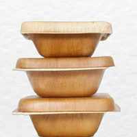 Biodegradable Container