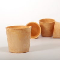 Biodegradable Container