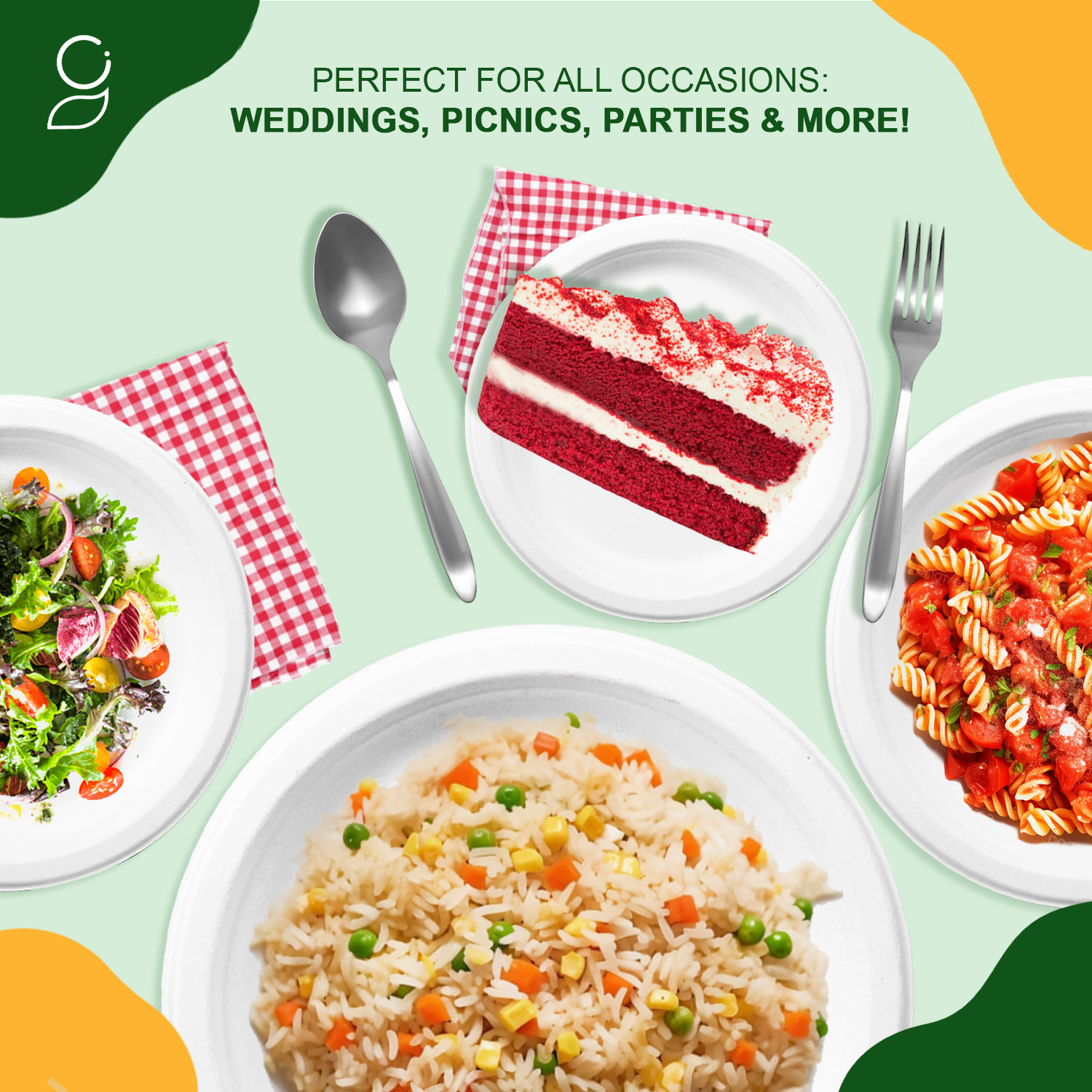 Bagasse Meal Trays Supplier