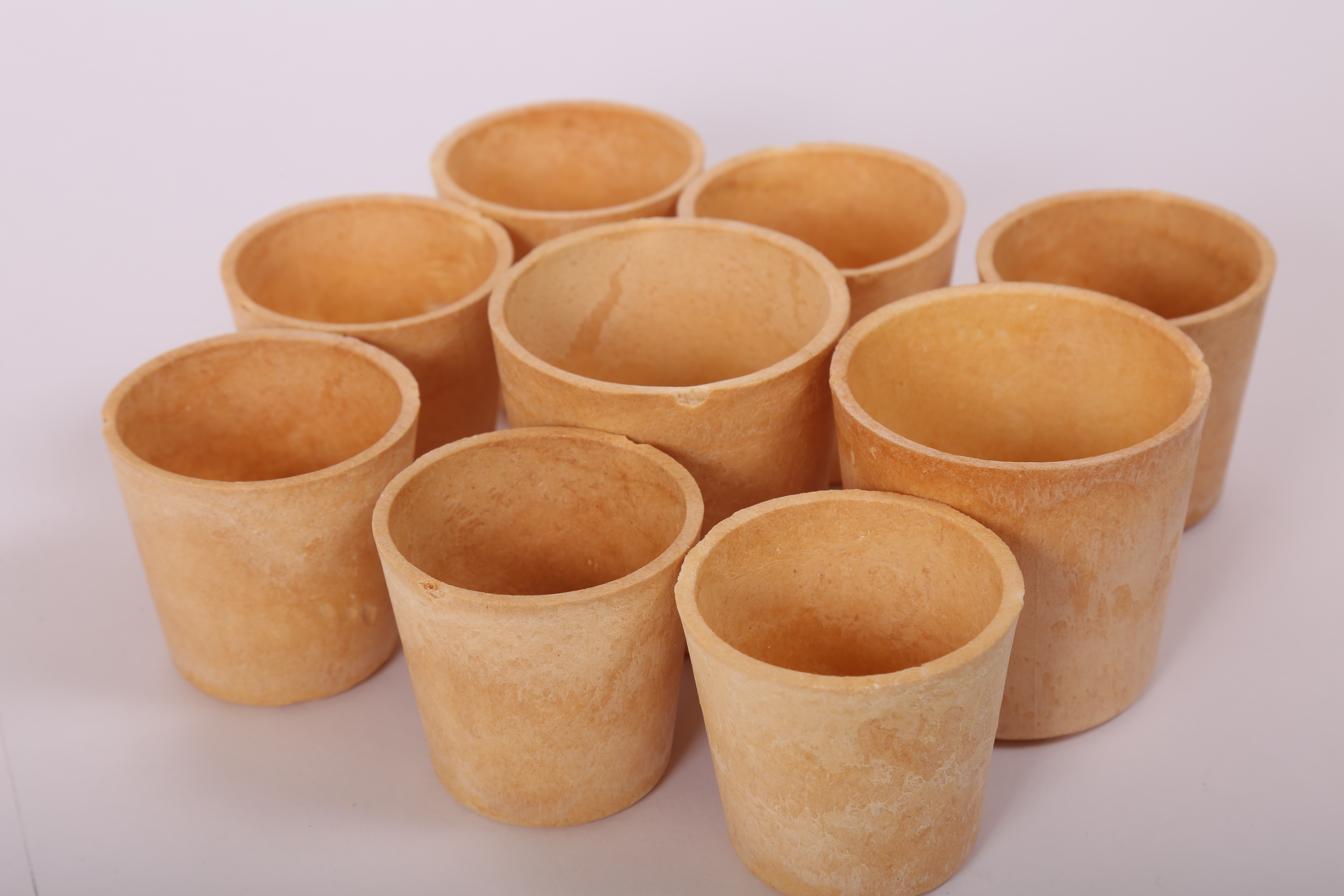 Edible Cup