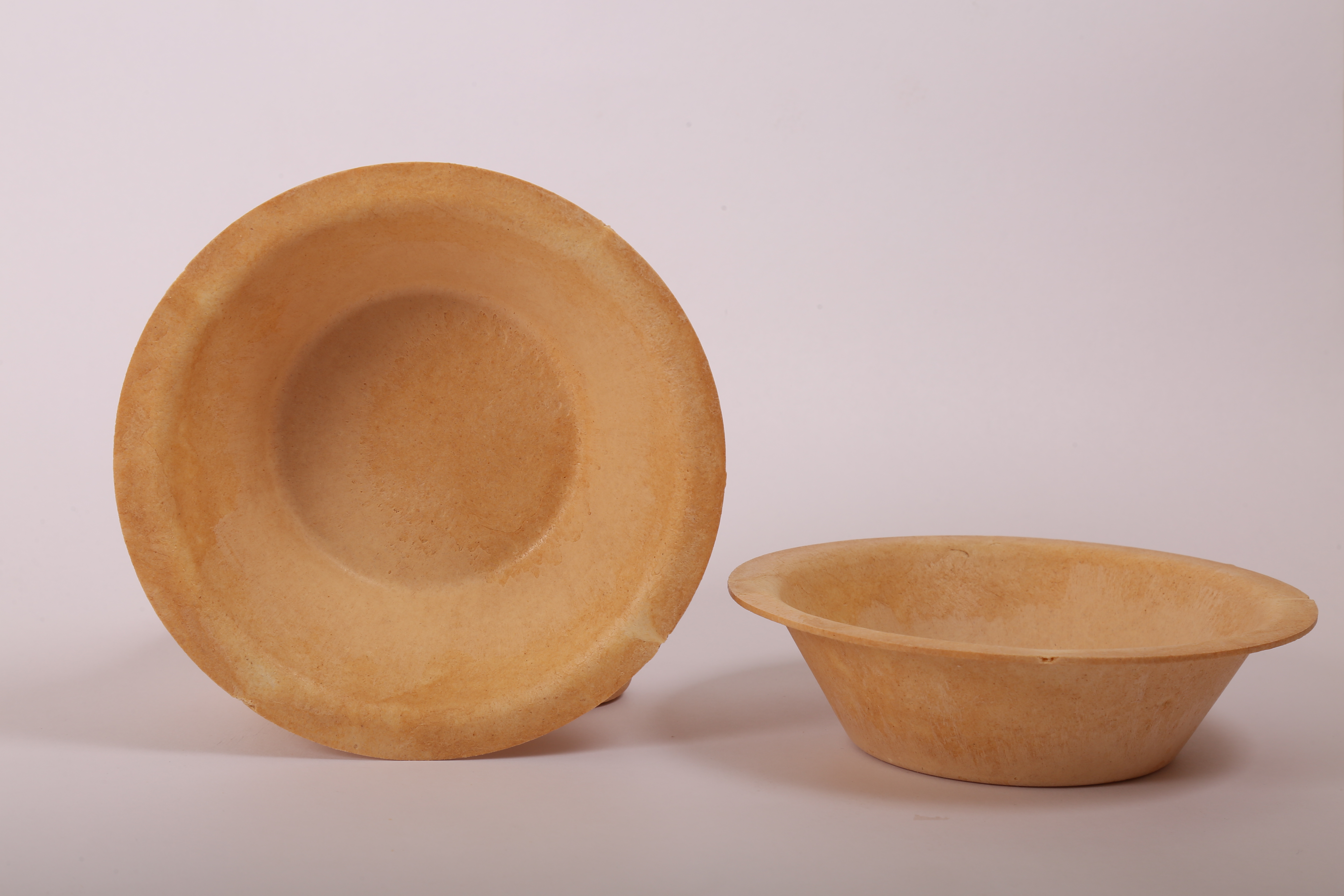 Medium Bagasse Bowl