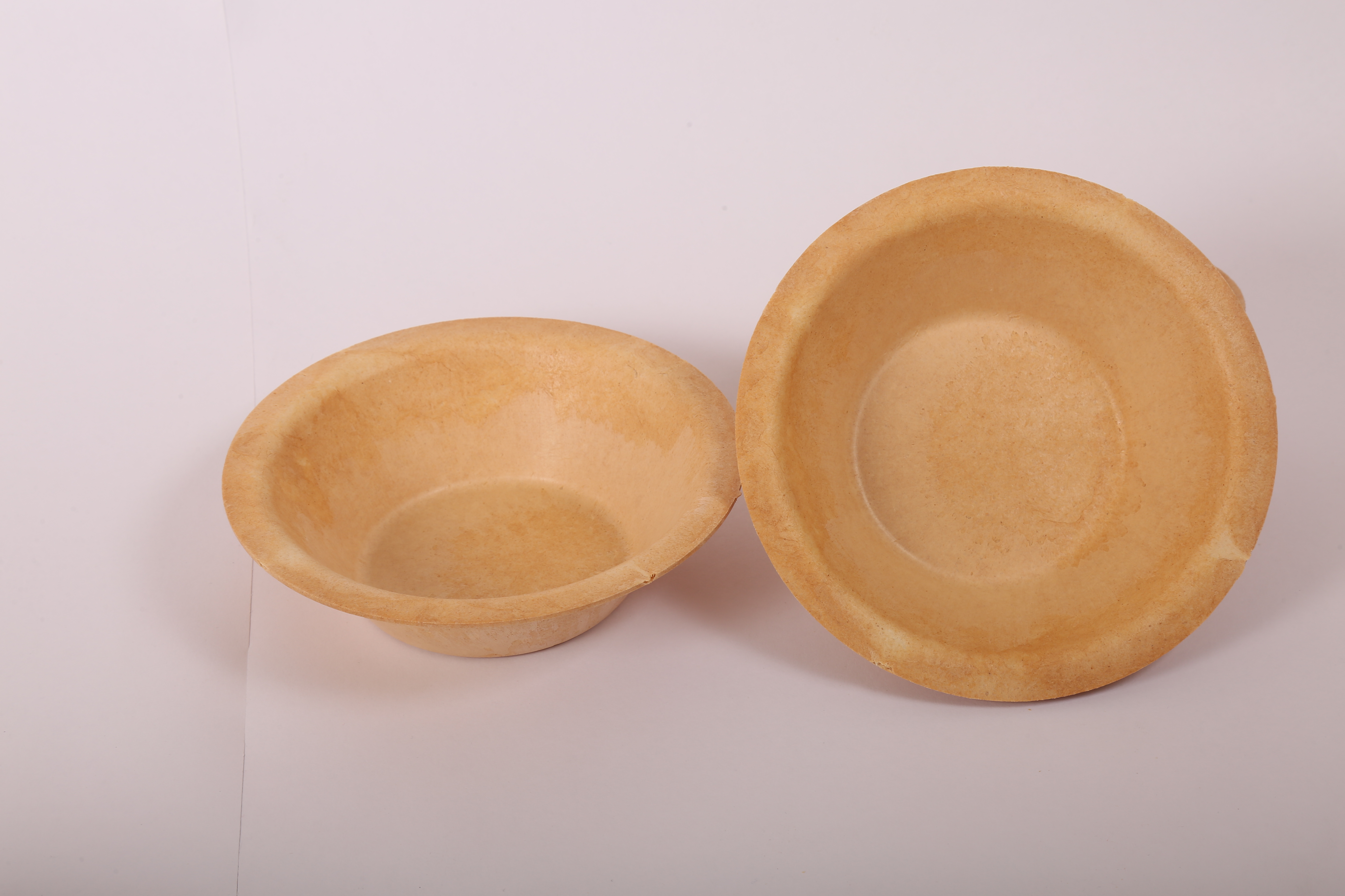 Large Bagasse Bowl