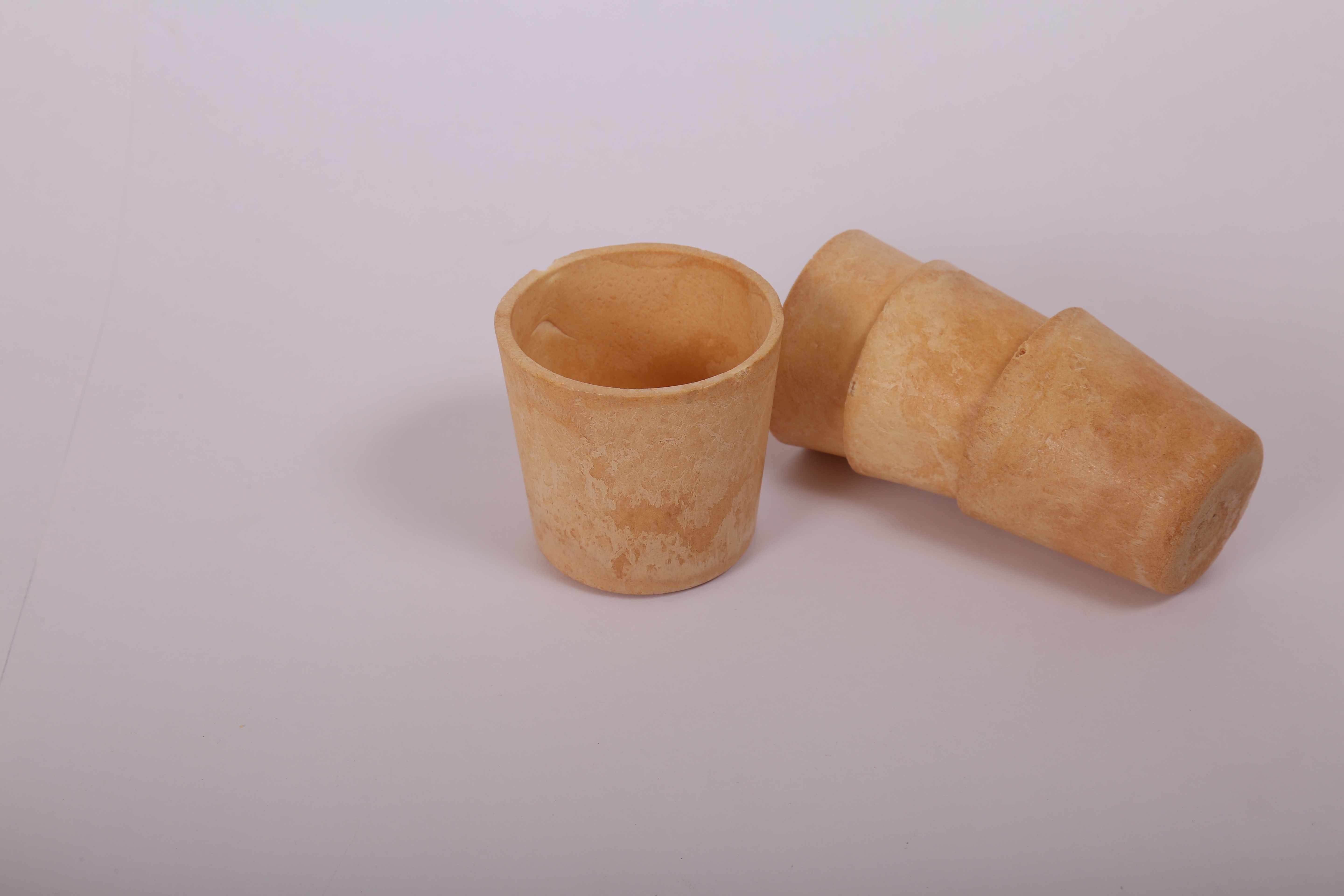 Large Bagasse Cup
