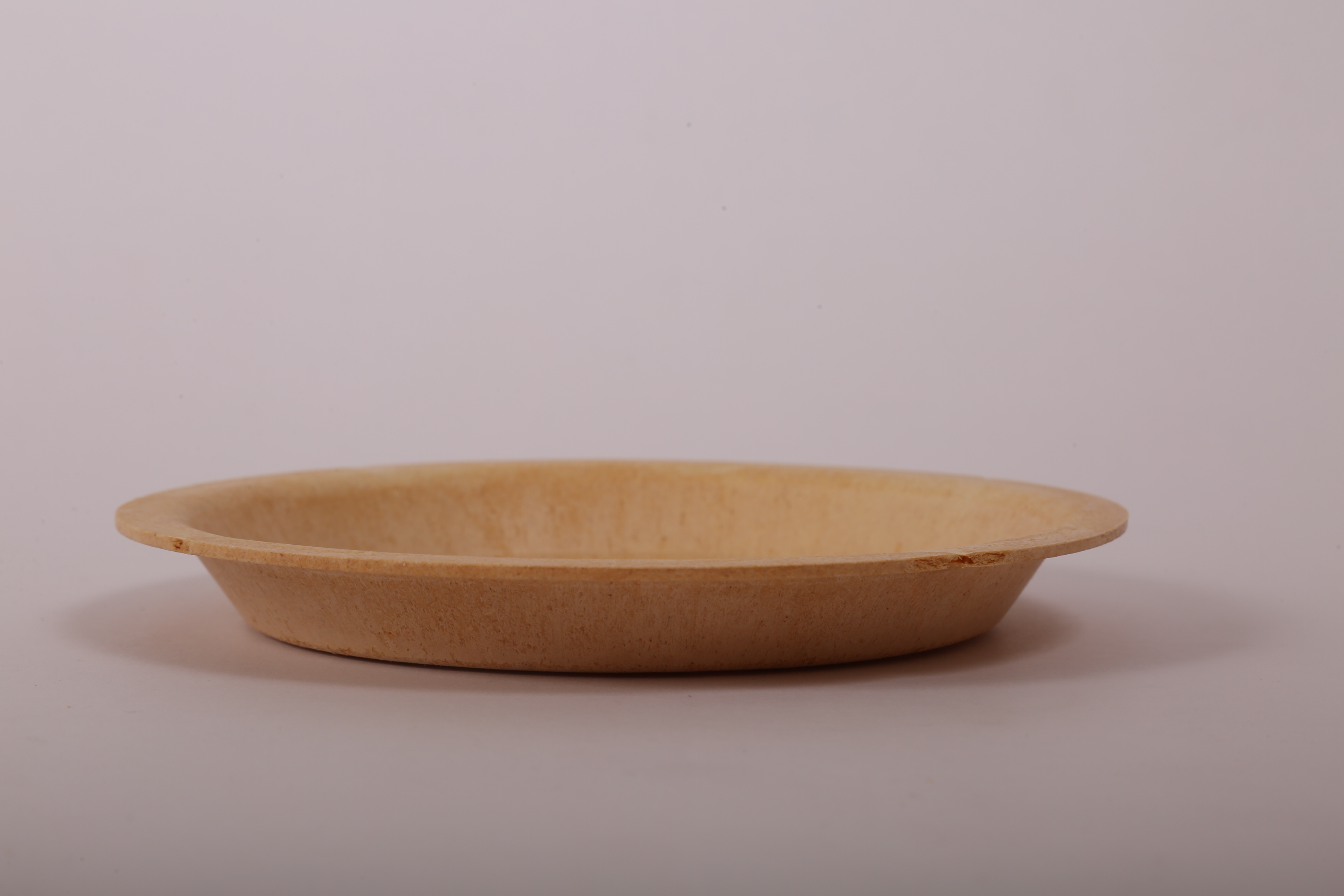 10 inch Bagasse Round Plate