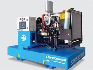 Leypower Customized Power Solutions