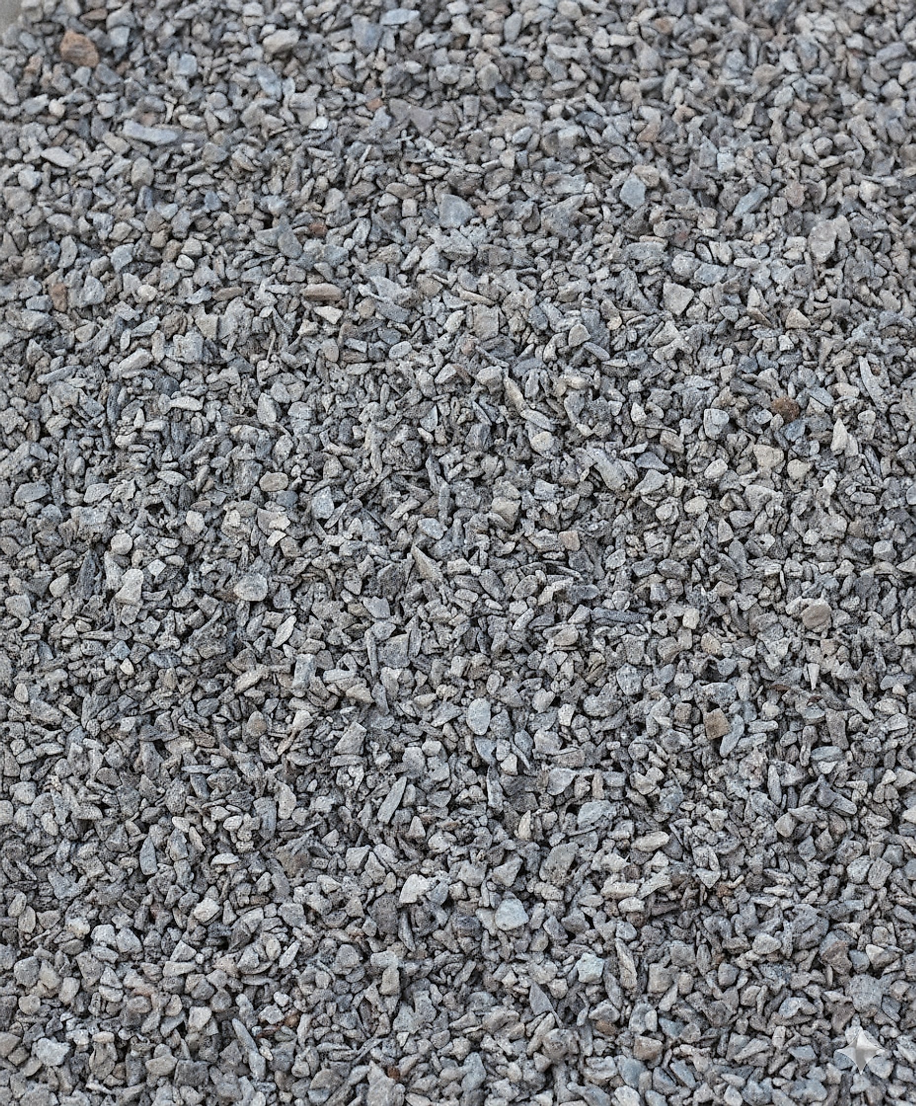 6 MM