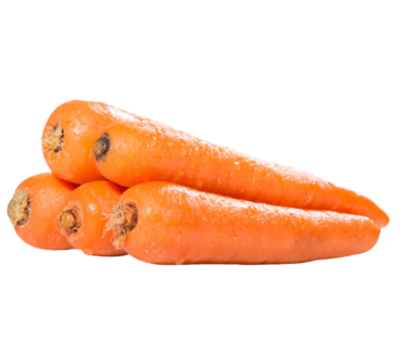 Capsicum