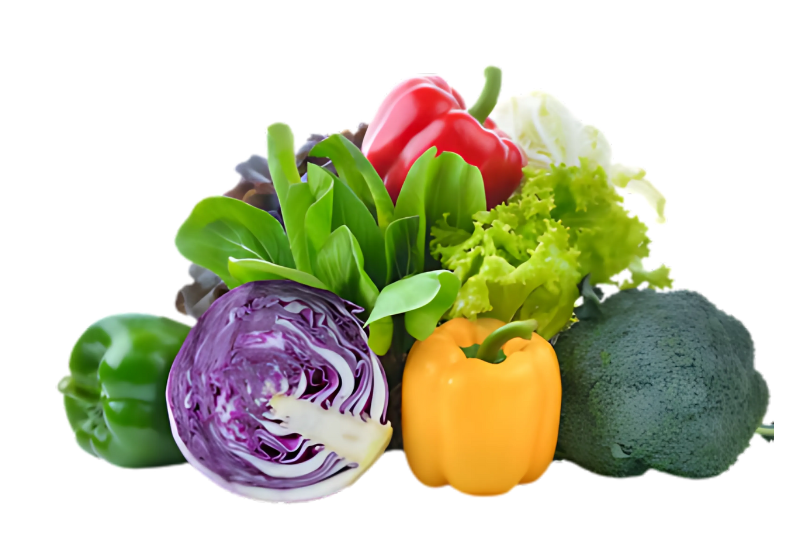 Fresh Vegetables