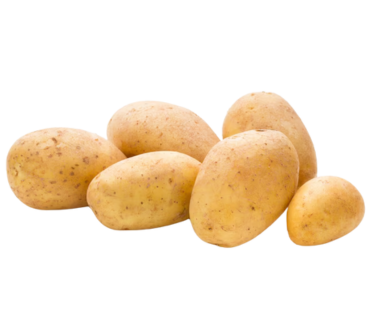 Potato