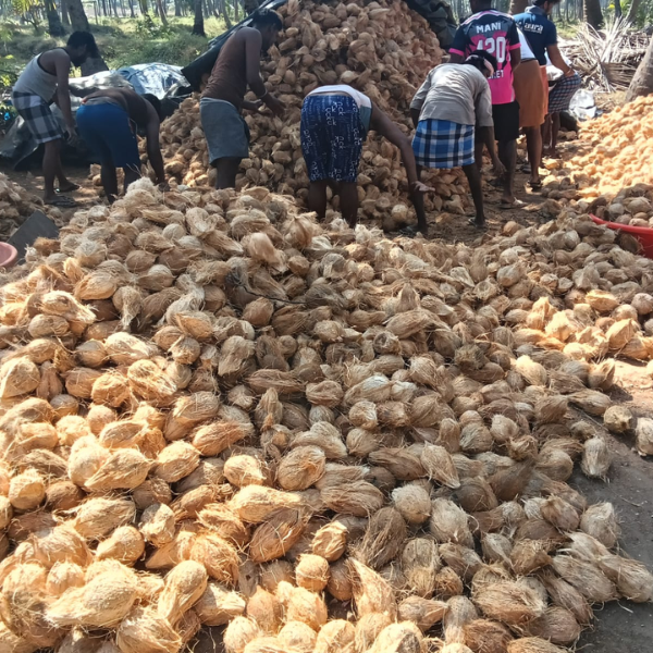 Cauliflower